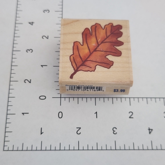 Stampabilities Fall Thanksgiving Leaf Autumn Harvest Red Orange D1168 & D1169 - Picture 5 of 8